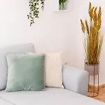 Piso En El Centro * تورّيفيِخا