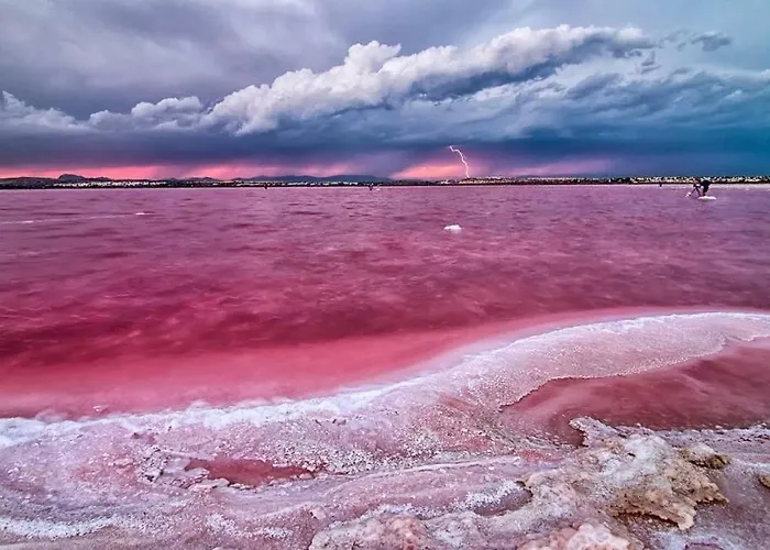 Piso En El Centro * Torrevieja